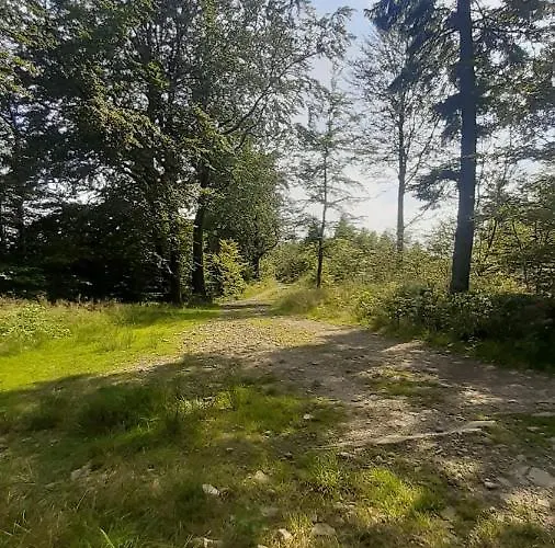 Apartamento Spacerowo-rowerowy Kamieniolom Kozy 60m2